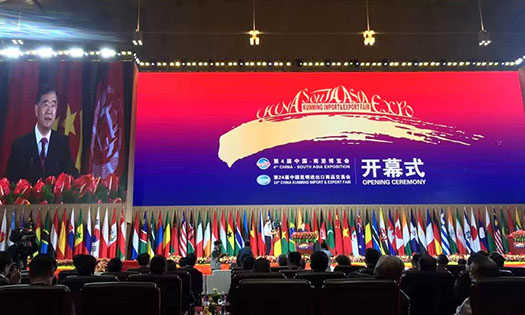 我会代表团应邀参加第四届南博会开幕式