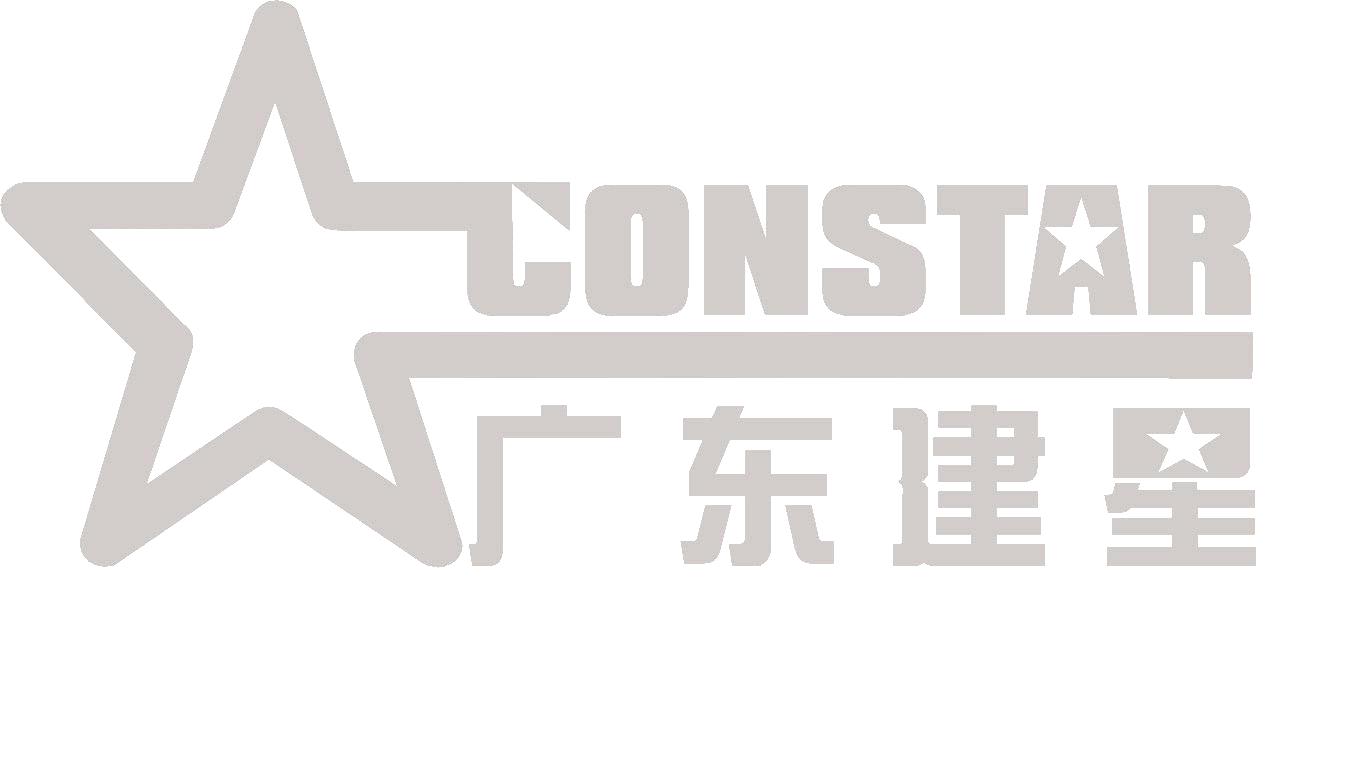 广东建星集团投资股份有限公司
