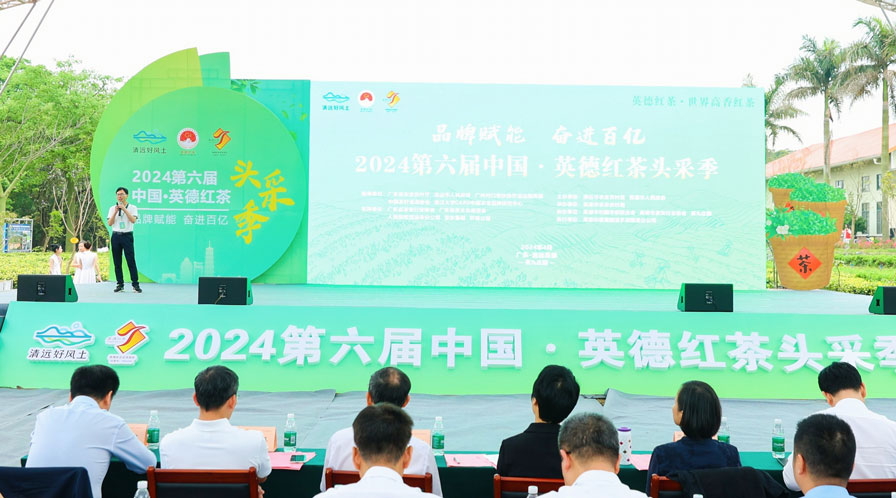 黄荣孟副会长率团出席红茶头采季活动 助力英德茶产业高质量发展