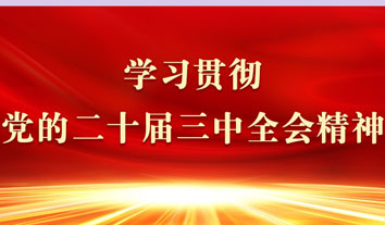 我会侨商认真学习贯彻党的二十届三中全会精神